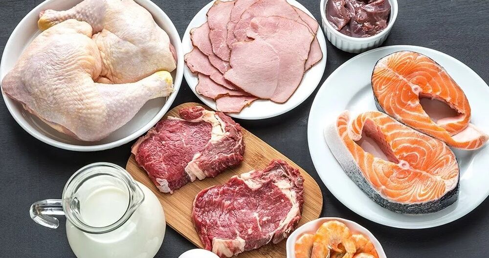 Consolidamento - Fase della dieta