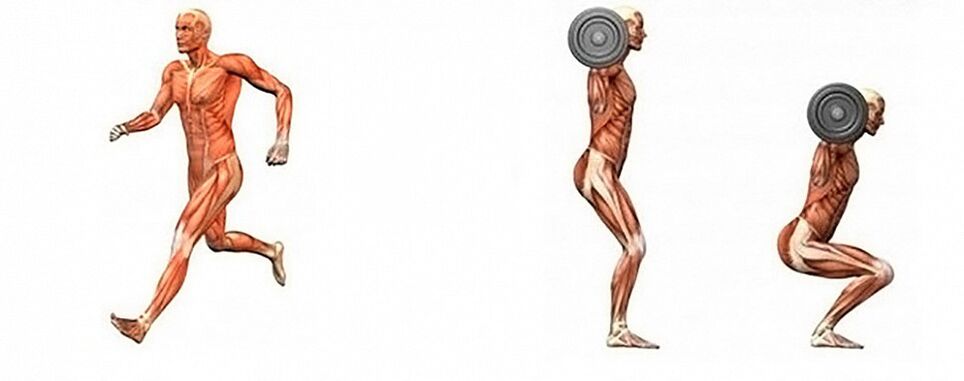 Aerobica e allenamento della forza per perdere peso
